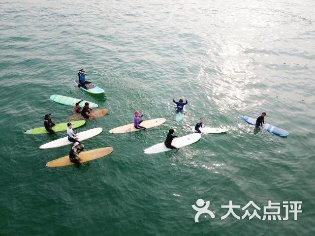 奥日与黑暗森林