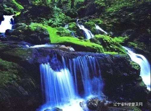 这是内马尔?身材发福走样,缩小版卢卡库,白拿1亿高薪,太可惜