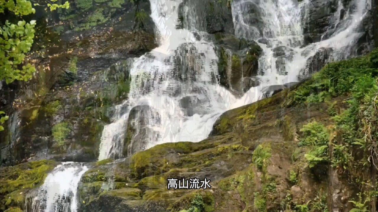 女管家逃脱记