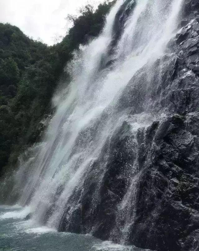 蝎子逃生之地
